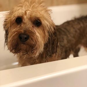 Meet your Posher, Maheen